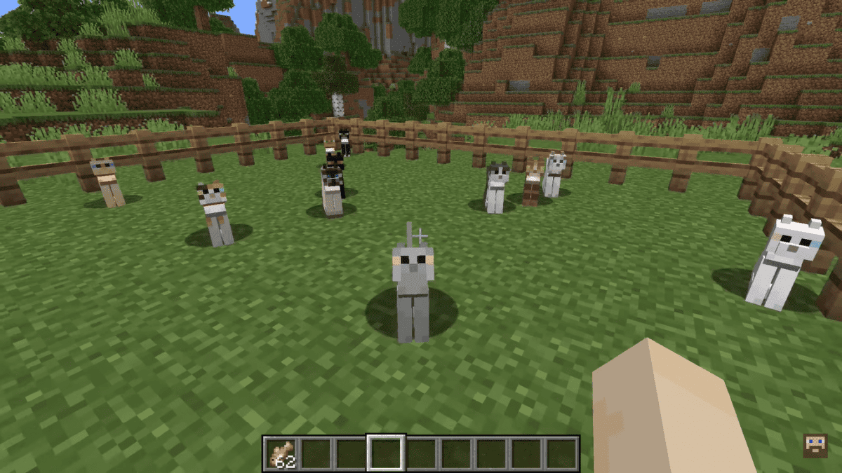 Gatos de Minecraft: Cómo conseguir, domesticar y criar gatos 5 Varios gatos en mi mundo