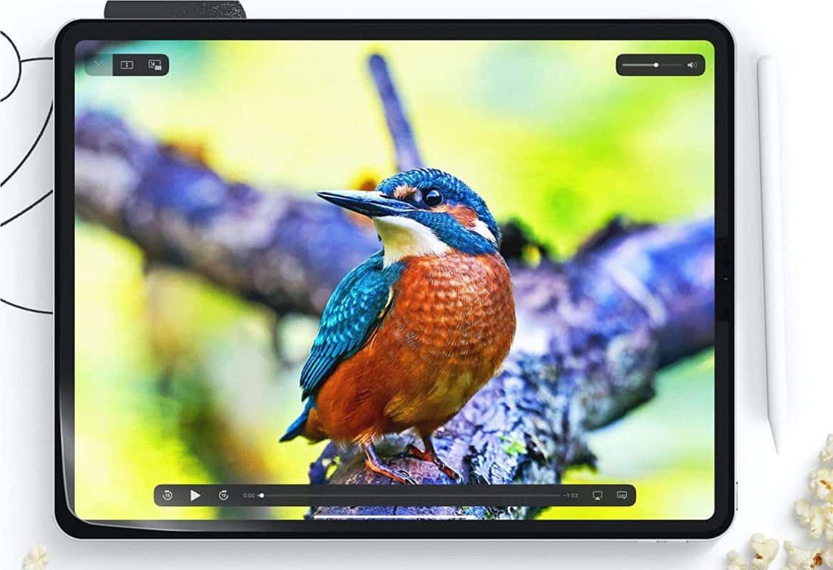 Paperlike Screen Protector: Protector de pantalla para iPad sobrevalorado 4 Un lindo pájaro aparece en un iPad