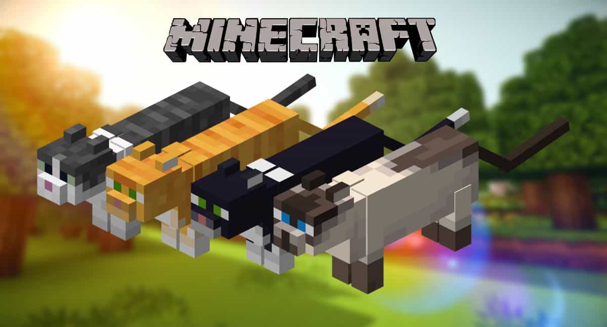 Gatos de Minecraft: Cómo conseguir, domesticar y criar gatos 2 gato de minecraft