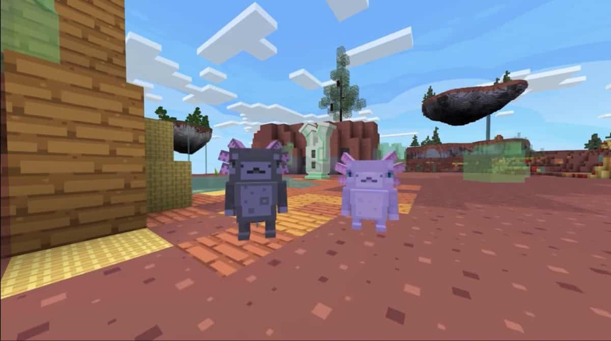 Cómo domesticar ajolotes en Minecraft 3 Dos ajolotes de minecraft bajo el agua