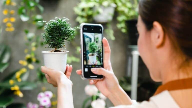 App para saber que le pasa a tu planta 3 App para saber que le pasa a tu planta