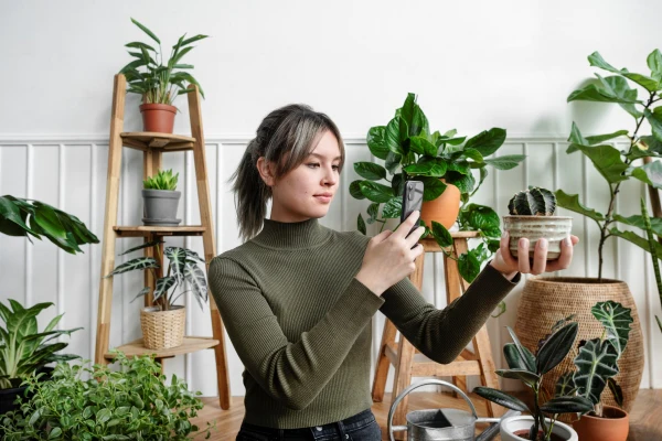 App para saber que le pasa a tu planta 2 Principales aplicaciones para saber que le pasa a tu planta