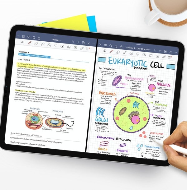 Goodnotes vs Notability: ¿Cuál es mejor? 2 Trabajando en la tablet con la app GoodNotes